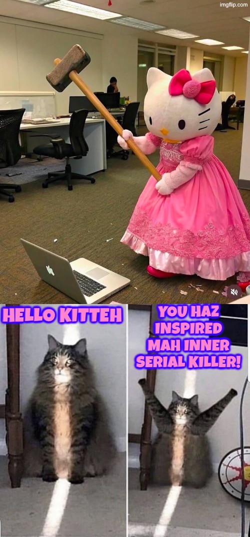 You Haz Inspired Meh | You haz inspired mah inner serial killer! Hello kitteh | image tagged in cats,funny cats,hello kitty,sledge hammer,destruction,inspired my inner serial killer | made w/ Imgflip meme maker
