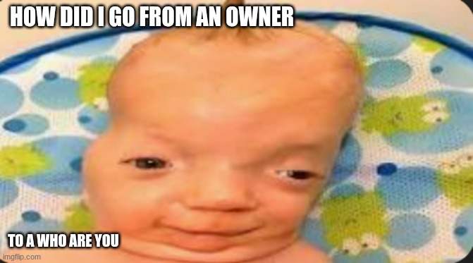Lil jit cuh | How did I go from an owner; to A who are you | image tagged in lil jim bob | made w/ Imgflip meme maker