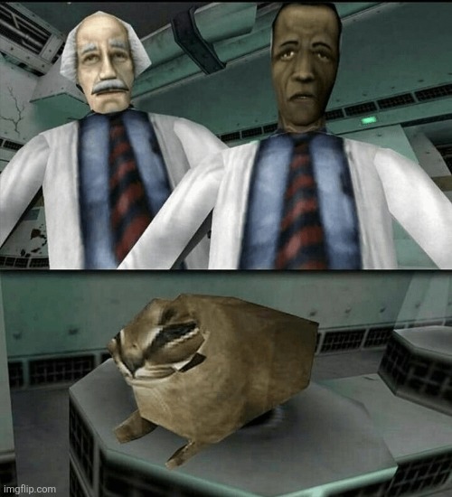 Interesting specimen | image tagged in floppa blank | made w/ Imgflip meme maker