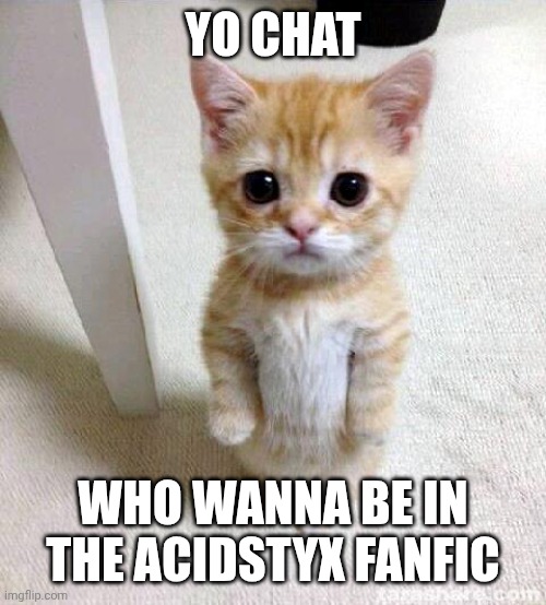 I need side characters | Yo chat; Who wanna be in the acidstyx fanfic | image tagged in memes,cute cat | made w/ Imgflip meme maker