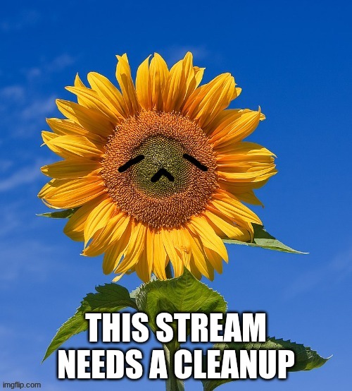 this stream needs a cleanup | made w/ Imgflip meme maker