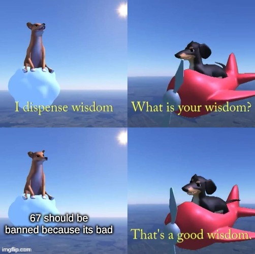 actually wisdom | 67 should be banned because its bad | image tagged in wisdom dog | made w/ Imgflip meme maker