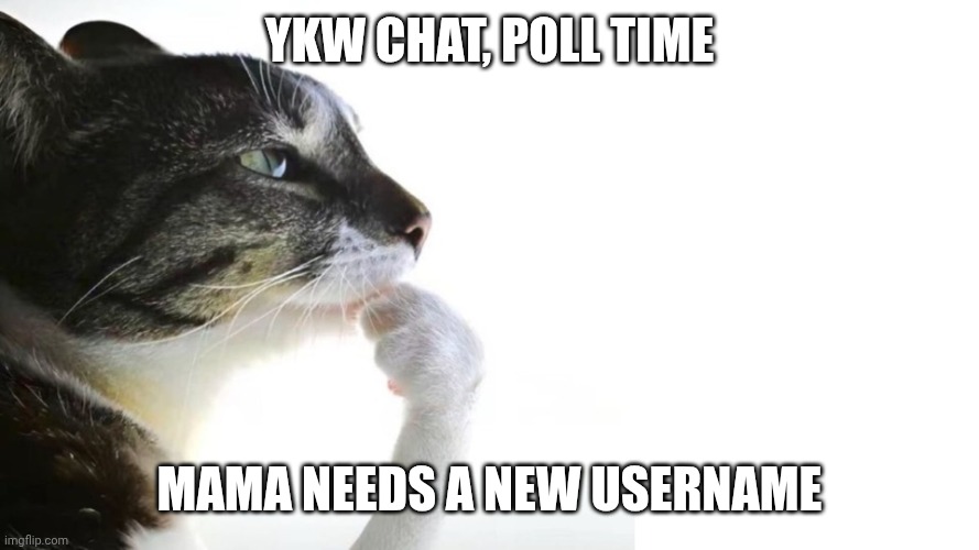 Warning I had horrible ideas | Ykw chat, poll time; Mama needs a new username | image tagged in thinker | made w/ Imgflip meme maker