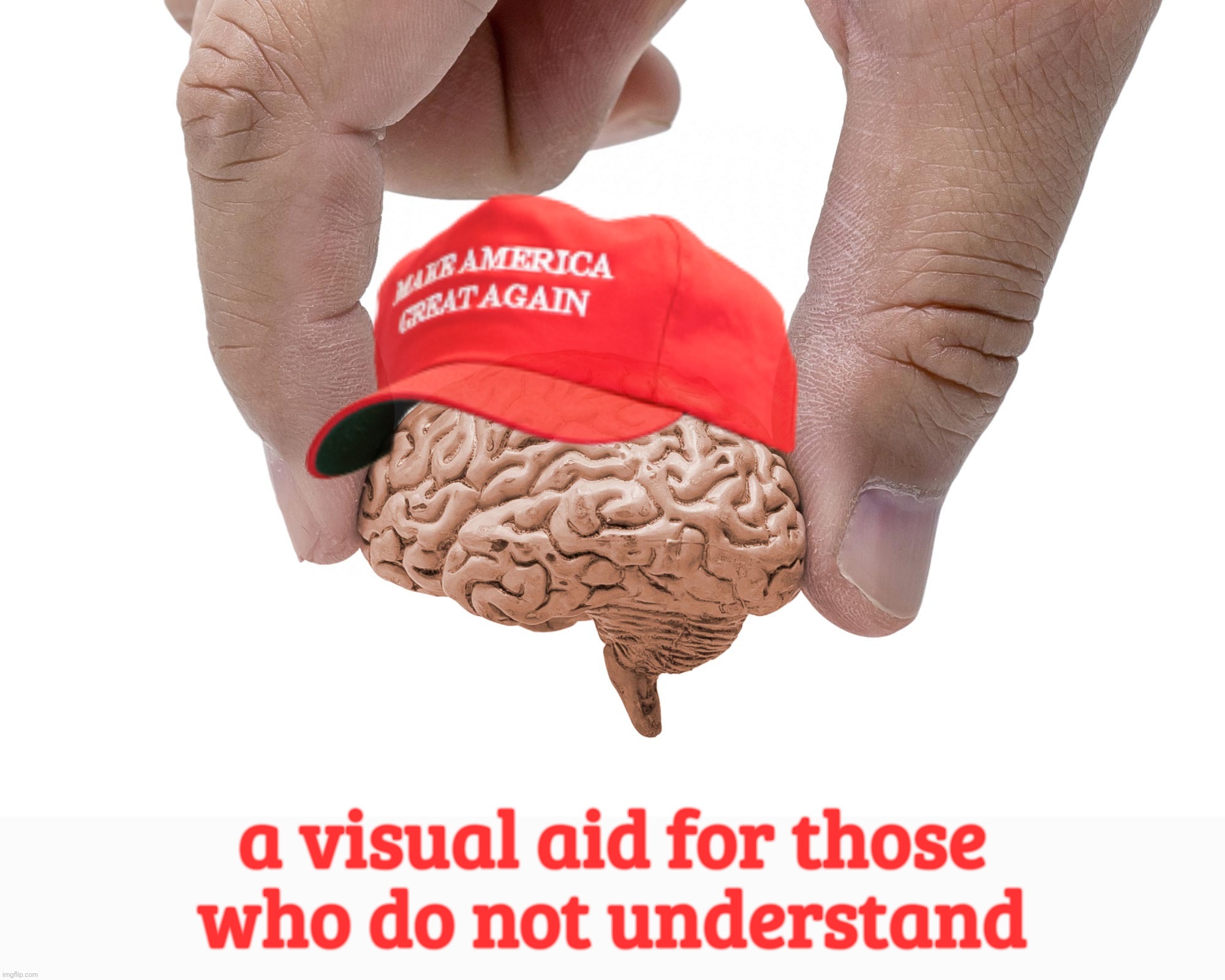 If the hat fits, wear it,,, | a visual aid for those
who do not understand | image tagged in small brain,small brain maga,if the shoe fits,walnut sized,because why waste on excess,specially fitted for the poorly educated | made w/ Imgflip meme maker