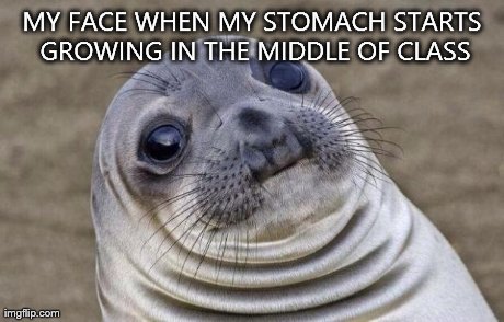 Awkward Moment Sealion | MY FACE WHEN MY STOMACH STARTS GROWING IN THE MIDDLE OF CLASS | image tagged in memes,awkward moment sealion | made w/ Imgflip meme maker