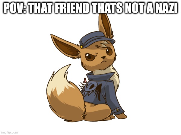 Pov: that friend thats not a nazi | image tagged in pokemon me and my bro | made w/ Imgflip meme maker
