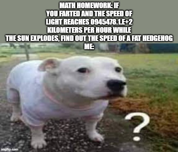 math is so harddd :[ | math homework: if you farted and the speed of light reaches 0945478.1.e+2 kilometers per hour while the sun explodes, find out the speed of a fat hedgehog
me: | image tagged in dog question mark | made w/ Imgflip meme maker
