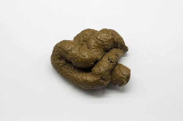 Poo Blank Meme Template