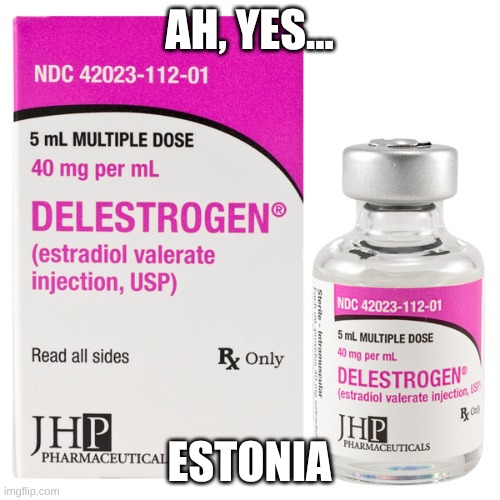 ah, yes... estonia | image tagged in delestrogen estradiol valerate | made w/ Imgflip meme maker