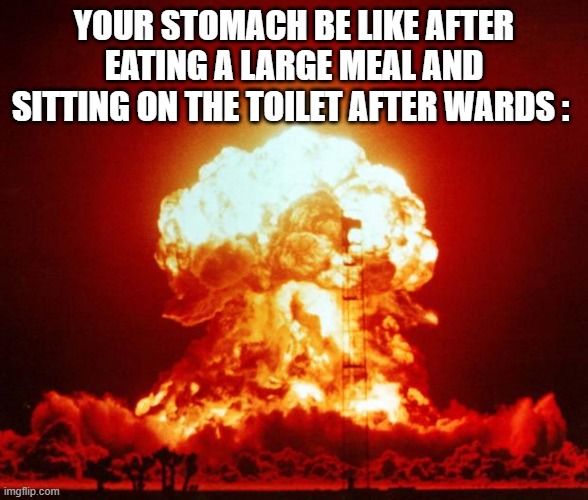 this looks fammilar | your stomach be like after eating a large meal and sitting on the toilet after wards : | image tagged in nuke,memes,stomach,true | made w/ Imgflip meme maker