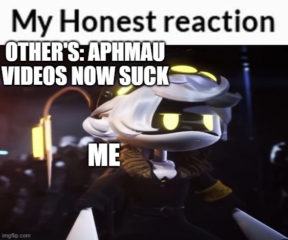 I ignore that in case | other's: aphmau videos now suck; me | image tagged in my honest reaction n edition | made w/ Imgflip meme maker