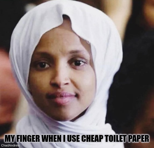When I use cheap toilet paper. | My finger when I use cheap toilet paper | image tagged in remix,fraud,democrats,liars | made w/ Imgflip meme maker