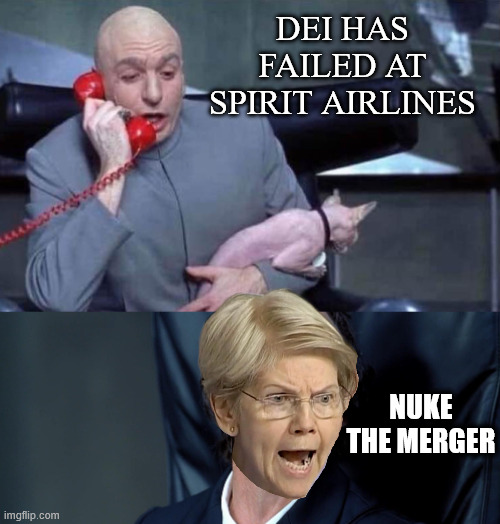 Warren nuked the merger | DEI has failed at Spirit airlines; Nuke the merger | image tagged in dr evil and frau,warren,killed spirit airlines | made w/ Imgflip meme maker