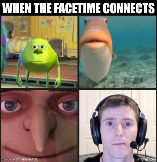 Silence | When the facetime connects | image tagged in silence | made w/ Imgflip meme maker