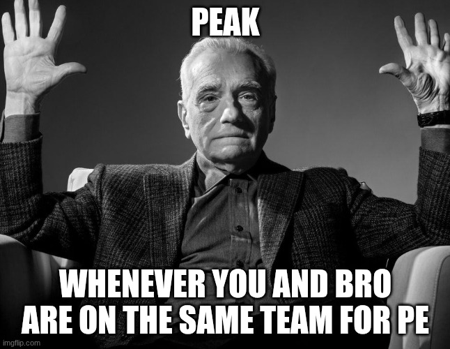 PeAKKKKK | peak; whenever you and bro are on the same team for PE | image tagged in absolute cinema | made w/ Imgflip meme maker