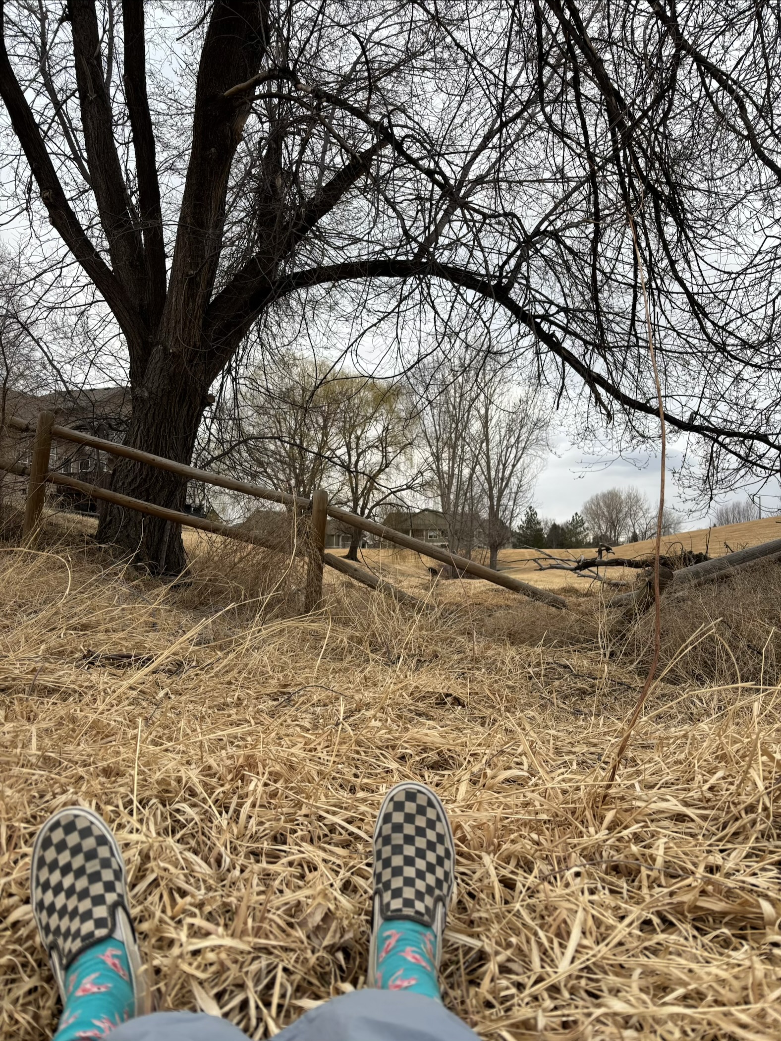Feet in the dead Colorado grass Blank Meme Template