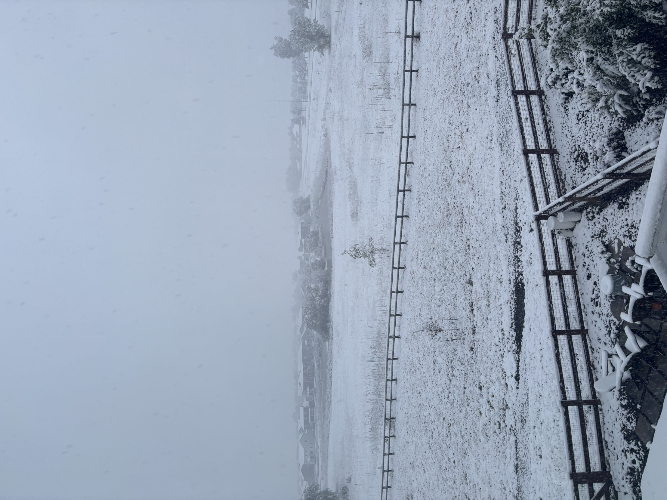 Snowy Colorado Blank Meme Template