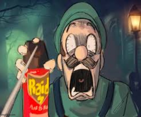 don't worry guys I got the raid | image tagged in luigi screaming | made w/ Imgflip meme maker