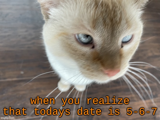 Cheze's Cat | when you realize that todays date is 5-6-7 | image tagged in cheze's cat | made w/ Imgflip meme maker