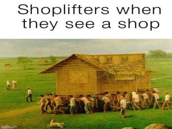 Shoplifting taken to another level | image tagged in shoplifting | made w/ Imgflip meme maker