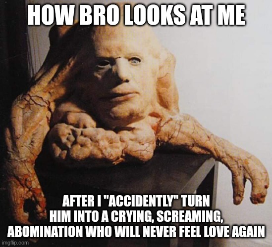 HELPHELPHELPHELPHELP | how bro looks at me; after i "accidently" turn him into a crying, screaming, abomination who will never feel love again | image tagged in belial | made w/ Imgflip meme maker