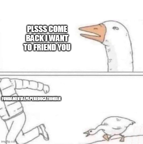 i want fundamentalpapereducationfan please :< | plsss come back i want to friend you; FundamentalPaperEducationFan | image tagged in goose chase | made w/ Imgflip meme maker