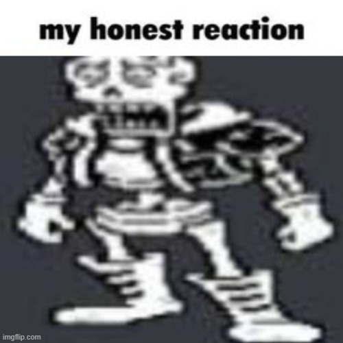 image tagged in papyrus my honest reaction | made w/ Imgflip meme maker