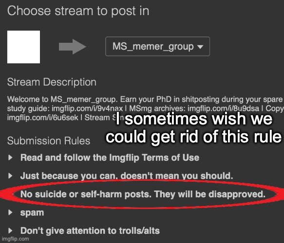 I sometimes wish we could get rid of this rule | made w/ Imgflip meme maker