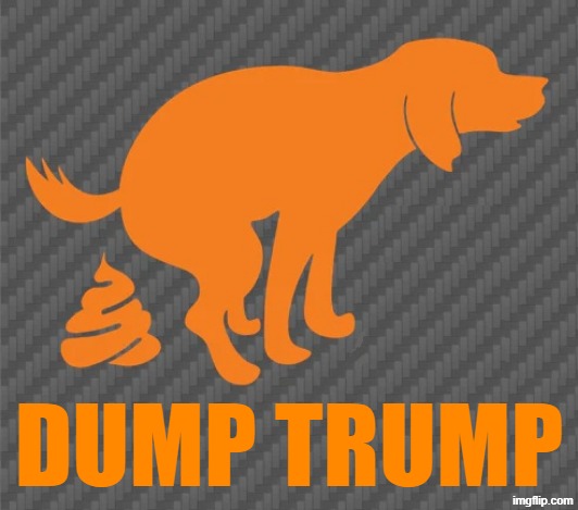 DUMP.jpg | DUMP TRUMP | image tagged in dump jpg | made w/ Imgflip meme maker