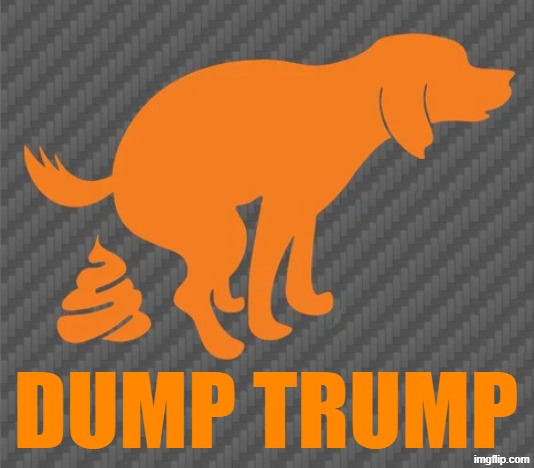 DUMP TRUMP | DUMP TRUMP | image tagged in trump,dump trump,dumptrump,dump the trump,dog poop,poop | made w/ Imgflip meme maker