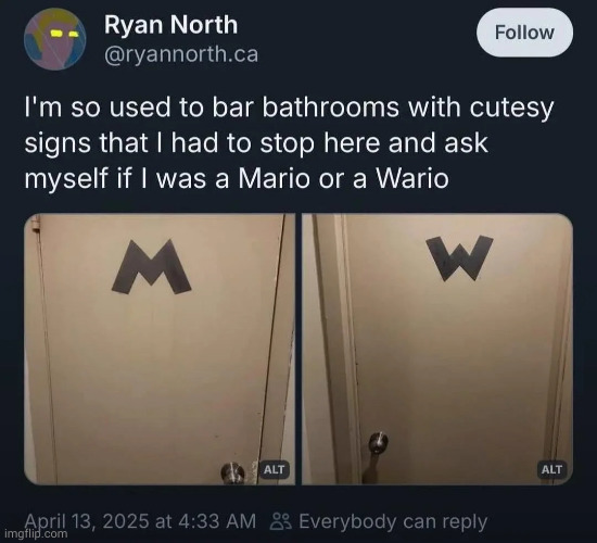 Nobody tell him, let him figure it out for himself | image tagged in mario,wario,nintendo | made w/ Imgflip meme maker