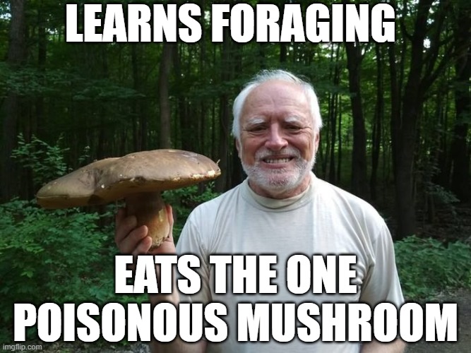 Hide The Pain Harold Holding A Mushroom | Learns foraging eats the one poisonous mushroom | image tagged in hide the pain harold holding a mushroom | made w/ Imgflip meme maker