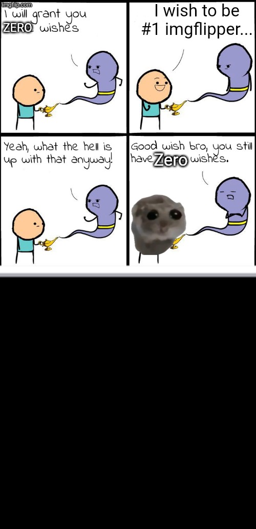 I wish to be #1 imgflipper... ZERO; Zero | image tagged in 3 wishes,sad hamster | made w/ Imgflip meme maker