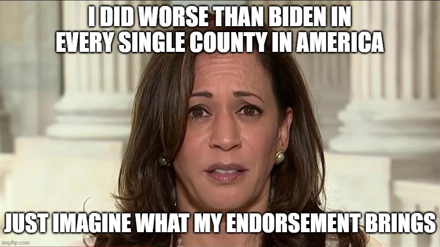 kamala harris | I did worse than biden in every single county in America just imagine what my endorsement brings | image tagged in kamala harris | made w/ Imgflip meme maker