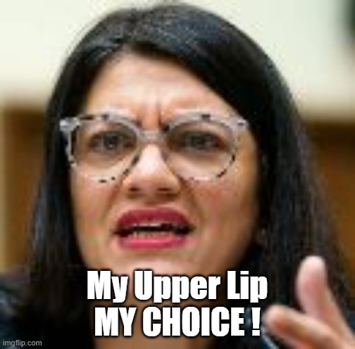 My Upper Lip
MY CHOICE ! | made w/ Imgflip meme maker