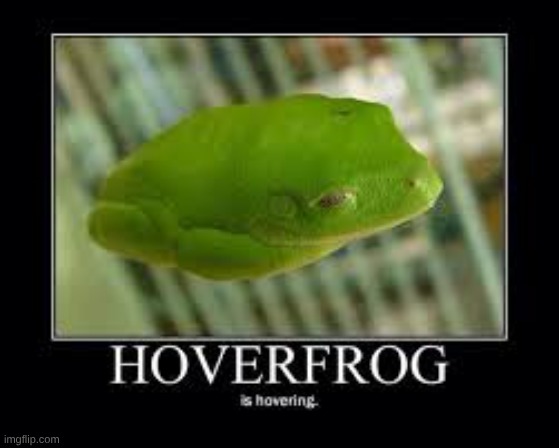 hoverfrog | image tagged in hoverfrog jpeg,hoverfrog,frog | made w/ Imgflip meme maker