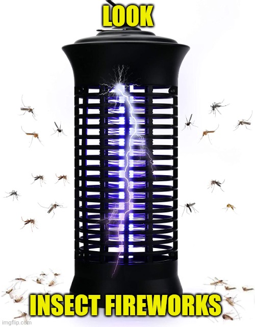 Bug zapper | Look Insect fireworks | image tagged in bug zapper | made w/ Imgflip meme maker