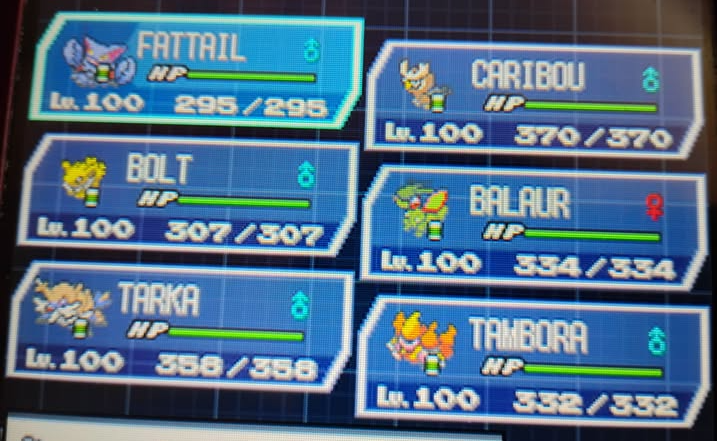 Pokemon White 2 team Blank Meme Template