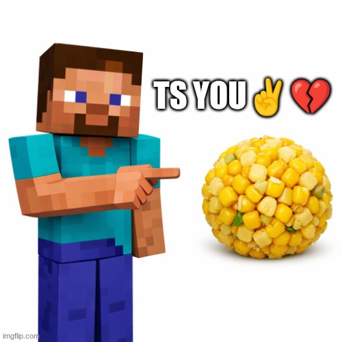 ts you | TS you✌💔 | image tagged in steve from minecraft in a white background pointing at a ball of | made w/ Imgflip meme maker