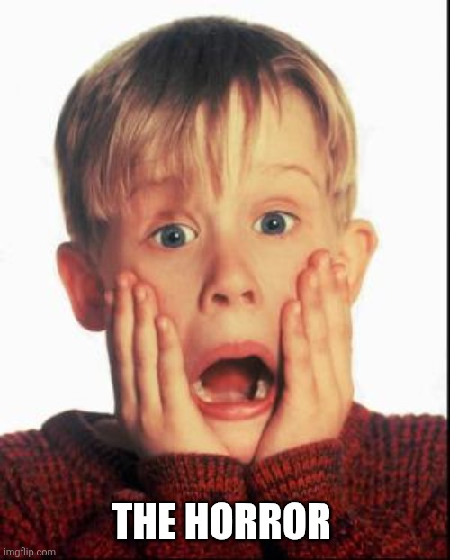 Home Alone Kid  | The horror | image tagged in home alone kid | made w/ Imgflip meme maker