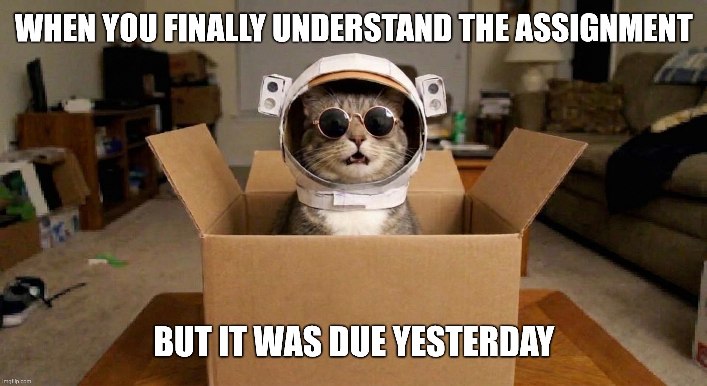 Finally understand the assignment | When you finally understand the assignment; But it was due yesterday | image tagged in assignment,cat,astronaut,yesterday,meme,understand | made w/ Imgflip meme maker