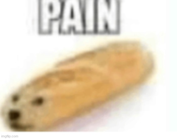 random doge meme | image tagged in screenshot 2026-05-06 7 58 37 am png | made w/ Imgflip meme maker