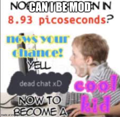 yell dead chat xD now to become a cool kid | Can I be mod | image tagged in yell dead chat xd now to become a cool kid | made w/ Imgflip meme maker