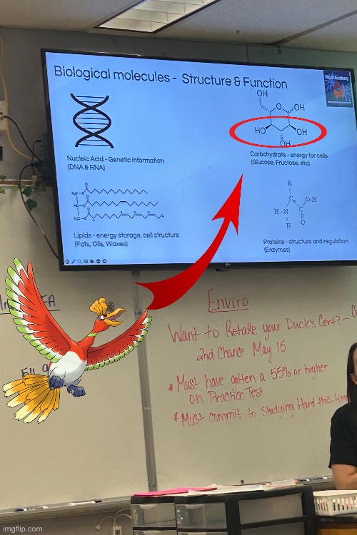 w biology | made w/ Imgflip meme maker