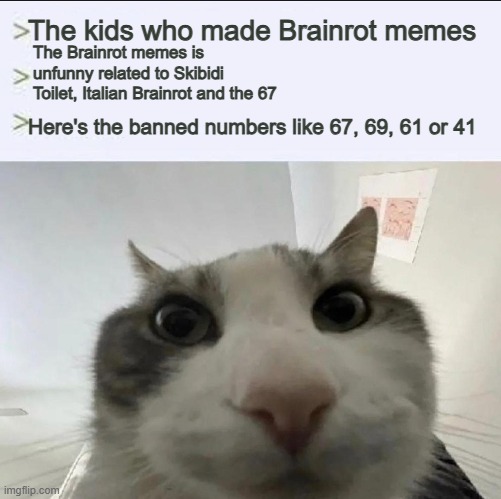 Imgflip kids users be like | The kids who made Brainrot memes; The Brainrot memes is unfunny related to Skibidi Toilet, Italian Brainrot and the 67; Here's the banned numbers like 67, 69, 61 or 41 | image tagged in cat looks inside | made w/ Imgflip meme maker