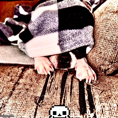 Sans is there BUT DOG (A mod can disapprove is too off topic) | made w/ Imgflip meme maker
