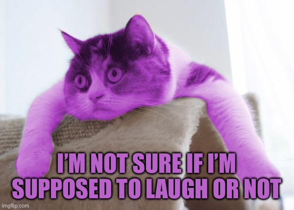 RayCat Stare | I’m not sure if I’m supposed to laugh or not | image tagged in raycat stare | made w/ Imgflip meme maker