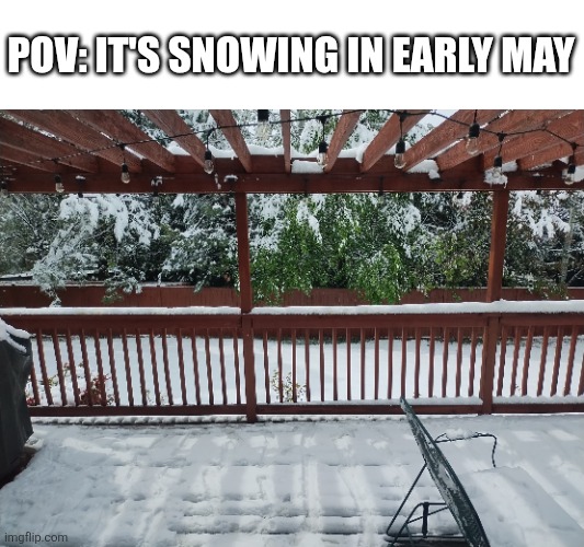 Why is it snowing in May?! | POV: It's snowing in early May | image tagged in memes,snow,spring | made w/ Imgflip meme maker