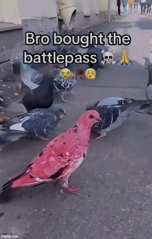 he just invested in P2W | image tagged in meme | made w/ Imgflip meme maker