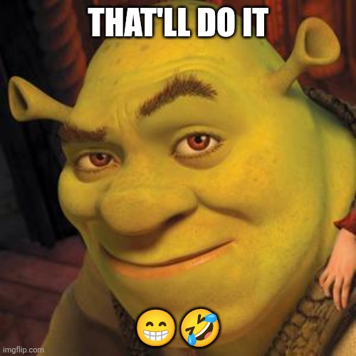 That'll do it ?? | image tagged in shrek sexy face | made w/ Imgflip meme maker